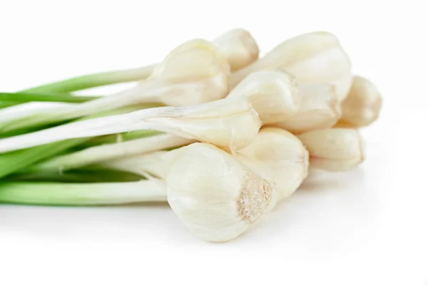 Fresh young garlic isolated on white — Stock Photo, Image