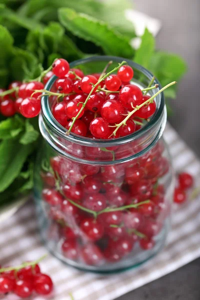 Groselhas vermelhas frescas em jarra com hortelã na mesa close-up — Fotografia de Stock