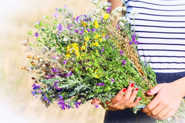 Kvinnliga händer med bukett av blommor över fältet bakgrund — Stockfoto