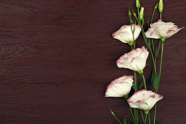 Flores de eustoma coloridas sobre fondo de madera — Foto de Stock