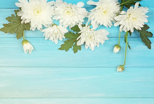 Chrysanthemum on wooden background — Stock Photo, Image