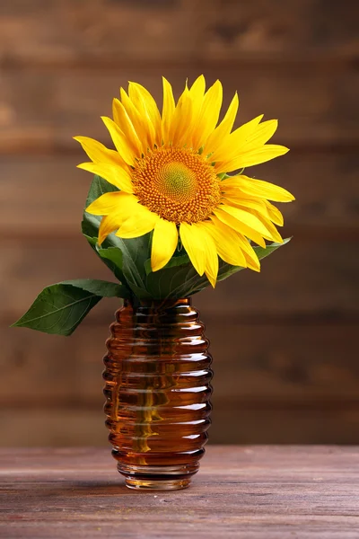 Mooie heldere zonnebloemen in vaas — Stockfoto