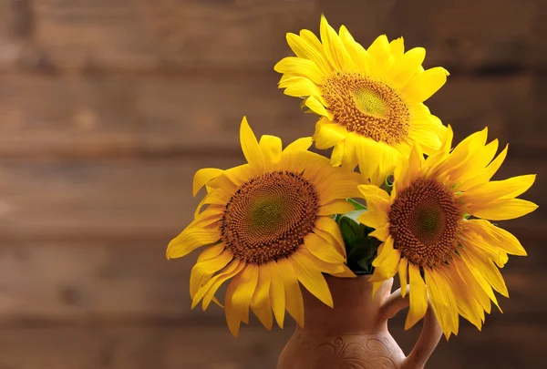 Schöne helle Sonnenblumen — Stockfoto