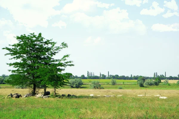 Beautiful countryside landscape — Stock Photo, Image