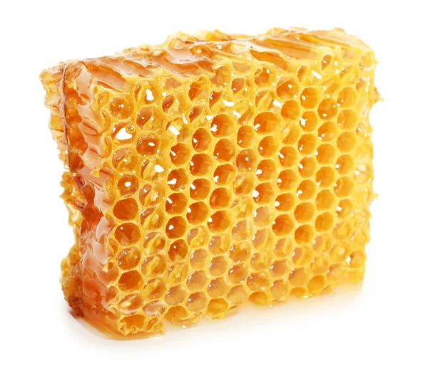 Honeycomb isolated on white Stock Image
