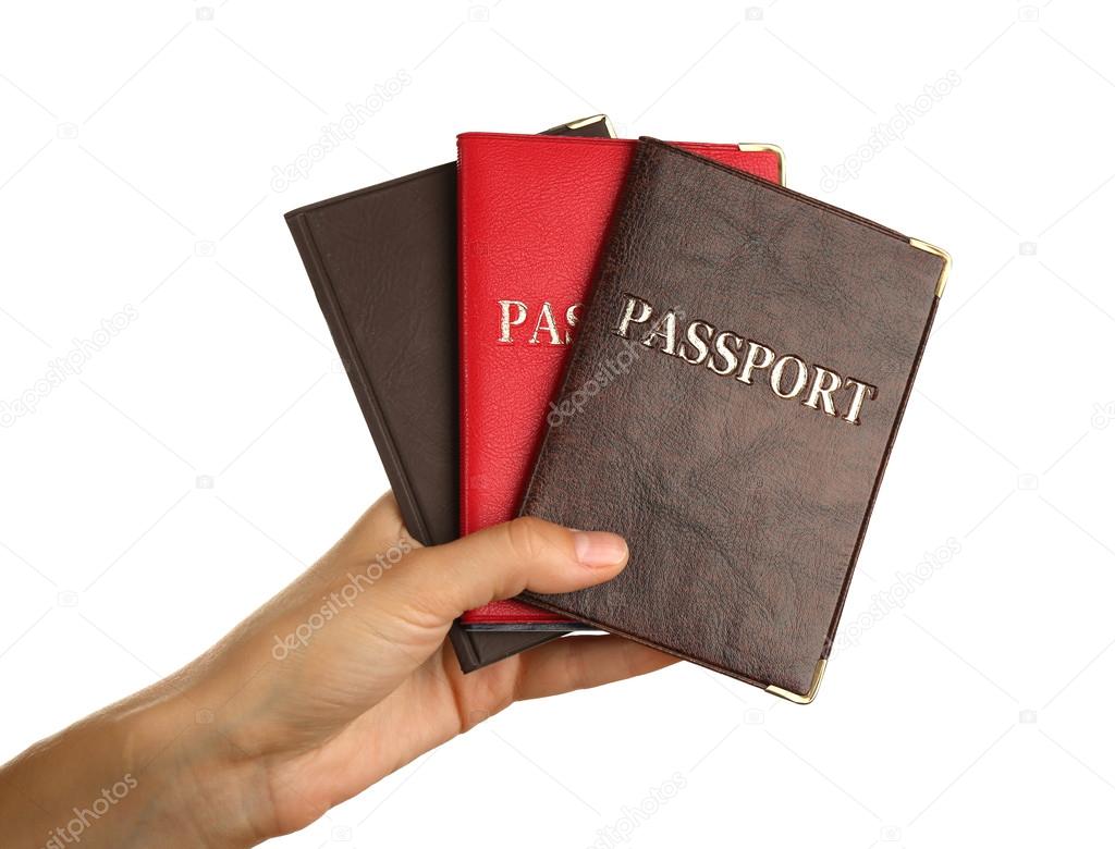 Female hand holding passports