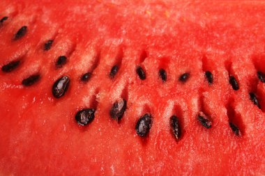 Karpuz yakın çekim
