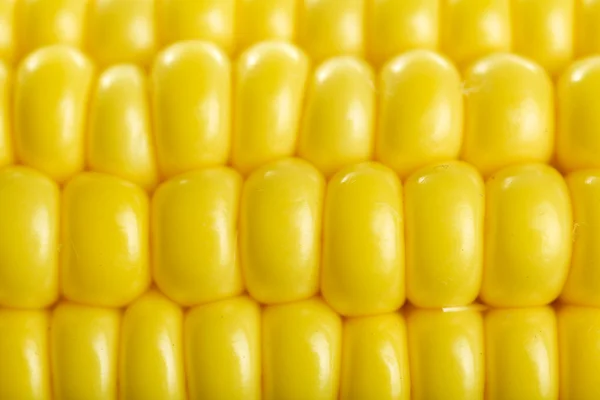 新鲜玉米收尾 — 图库照片