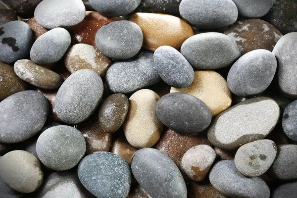 Havet småsten bakgrund — Stockfoto