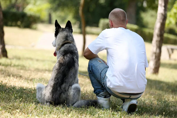 Mladý muž s krásnou Husky psa v parku — Stock fotografie