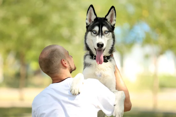 Jonge man met prachtige huskies hond in park — Stockfoto