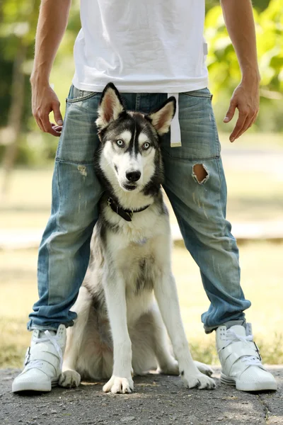 Jovem com belo cão huskies no parque — Fotografia de Stock