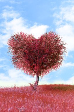 Kalp şeklinde kırmızı ağaç
