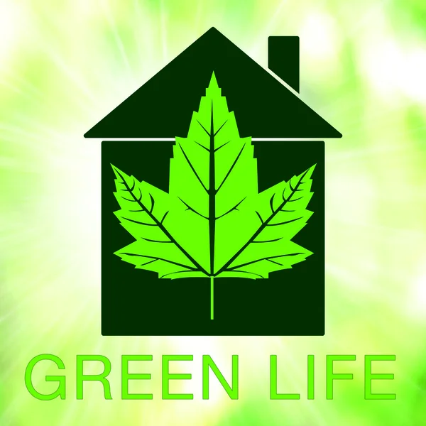 Eco house symbol — Stock Photo, Image