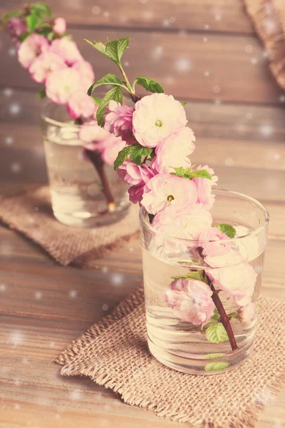 Beautiful fruit blossom in glasses — Stock Photo, Image