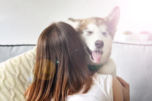 Mulher abraçando cão malamute — Fotografia de Stock