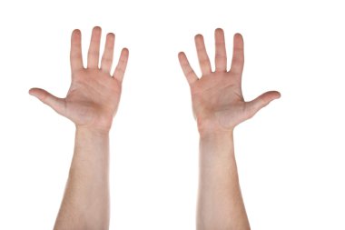 Erkek palm eller izole