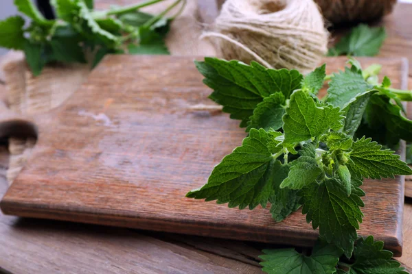 Leaves of lemon balm with scissors — Stock Photo, Image