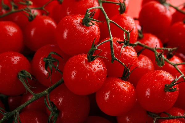 Pile de tomates cerises en gros plan — Photo