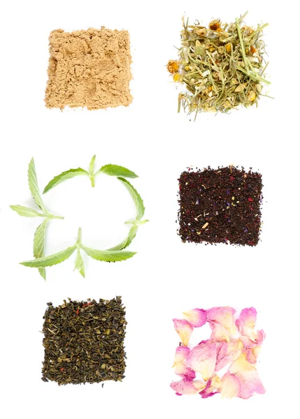 Různé druhy bylinných čajů a bylin izolovaných na bílém — Stock fotografie