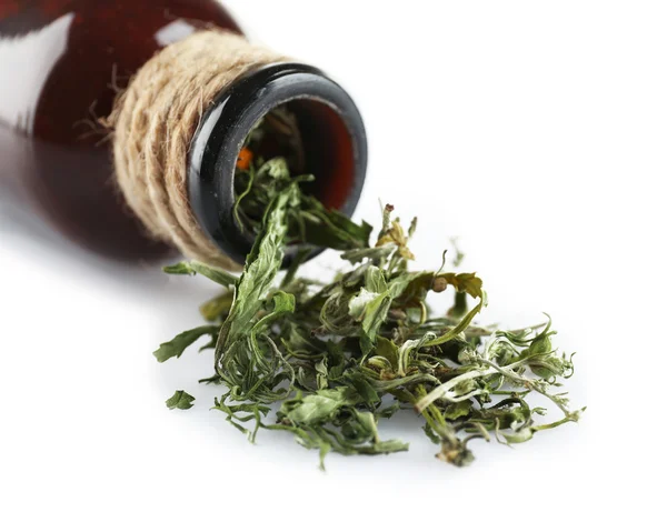 Botella de cannabis medicinal seco — Foto de Stock