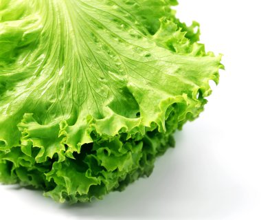 Beyaz üzerinde taze marul.