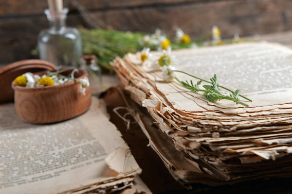 Old book with dry flowers