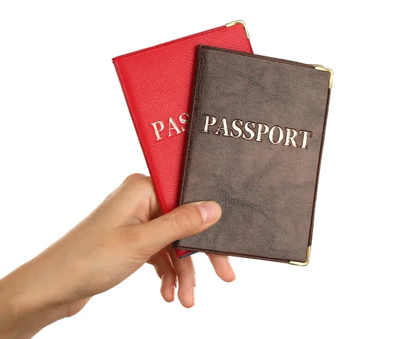 Паспорта с женскими руками — стоковое фото