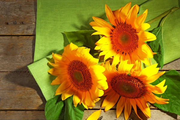 Schöne helle Sonnenblumen — Stockfoto