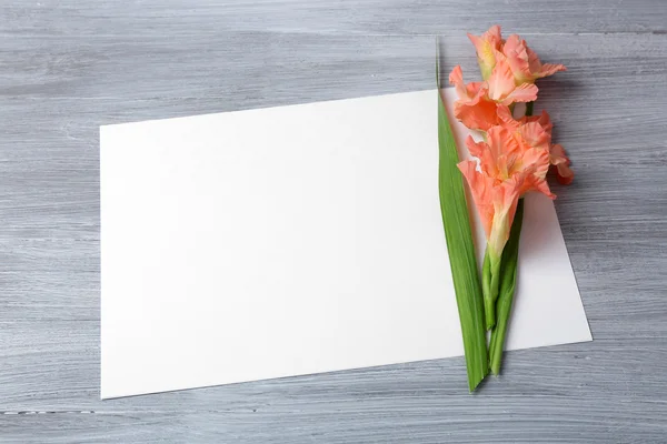Carte blanche avec de beaux gladioles — Photo