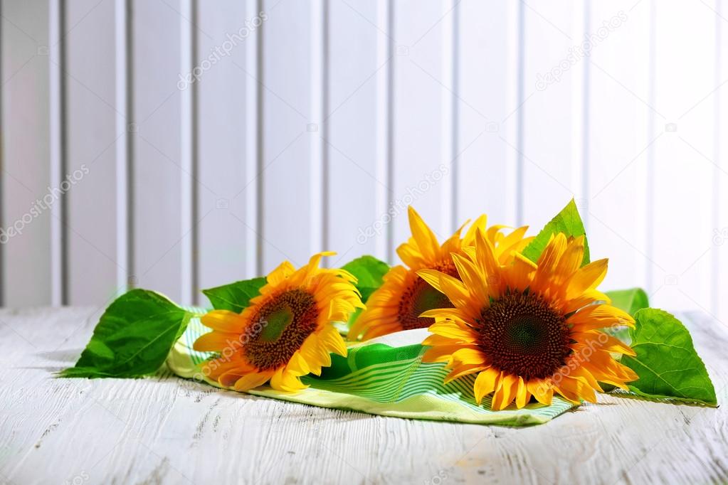Beautiful bright sunflowers