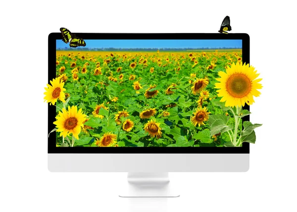 Modern computer with nature wallpaper on screen — Stock Photo, Image