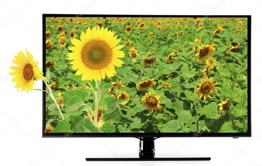 Desktop Wallpaper Landscape 4k Monitor With Nature Wallpaper On