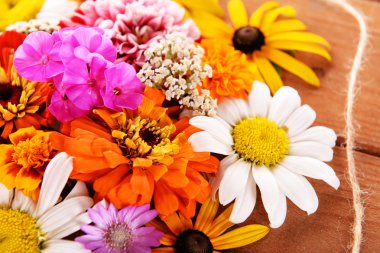 taze renkli çiçekler