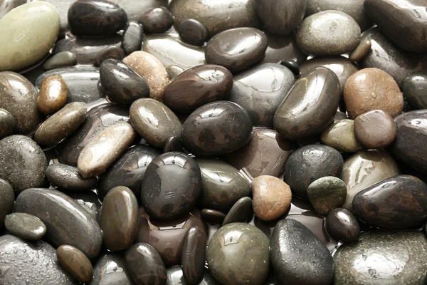 灰色の海の小石背景 — ストック写真