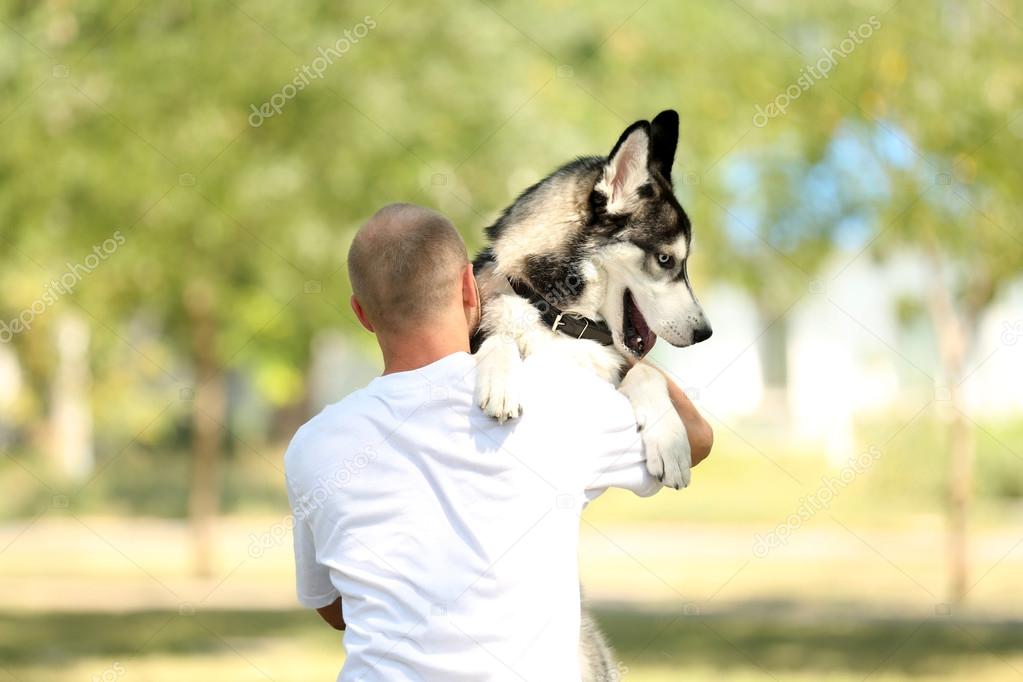 man with beautiful huskies dog