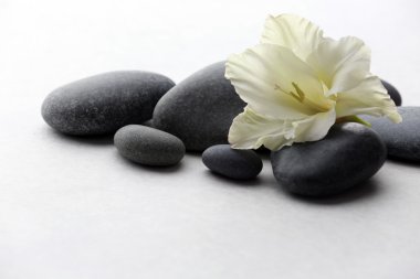 Açık renkli çiçek taşlarla Spa