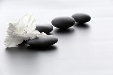 Açık renkli çiçek taşlarla Spa