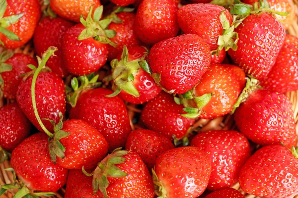 Reife rote Erdbeeren — Stockfoto