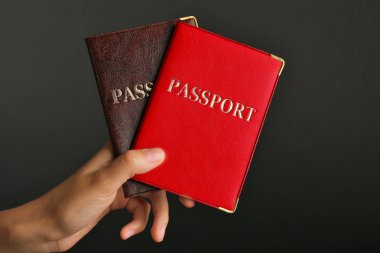 El tutma Pasaportlar