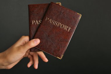 El tutma Pasaportlar