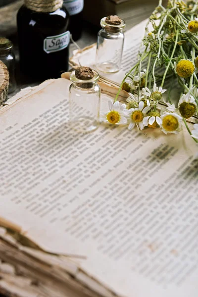 Старая книга с сухими цветами — стоковое фото