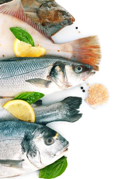 Peixes e camarões frescos com especiarias de perto — Fotografia de Stock