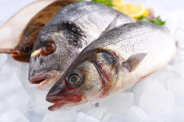 Fresh fishes with lemon on ice background — Stock Photo, Image