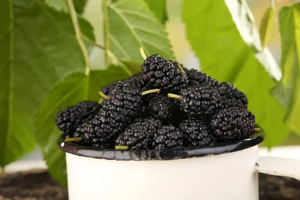 Mulberries maduras em caneca com folhas verdes na mesa close-up — Fotografia de Stock