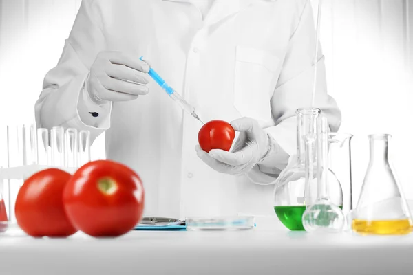 Scientist examines tomatoes — Stock Photo, Image