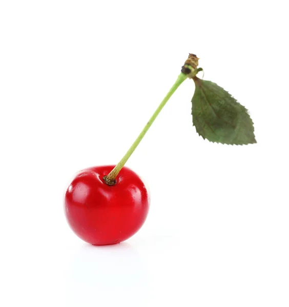 Cherry isolated on white — Stock Photo, Image