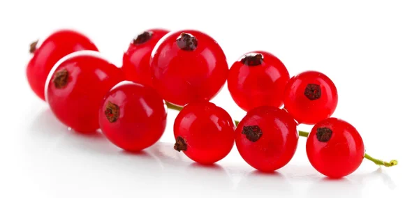 Branch dari red currant diisolasi dalam warna putih — Stok Foto