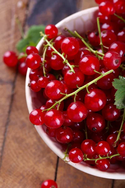 Fresh red currants in bowl close up — Stock Photo, Image