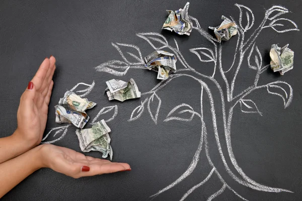 Chalk Money tree — Stock Photo, Image